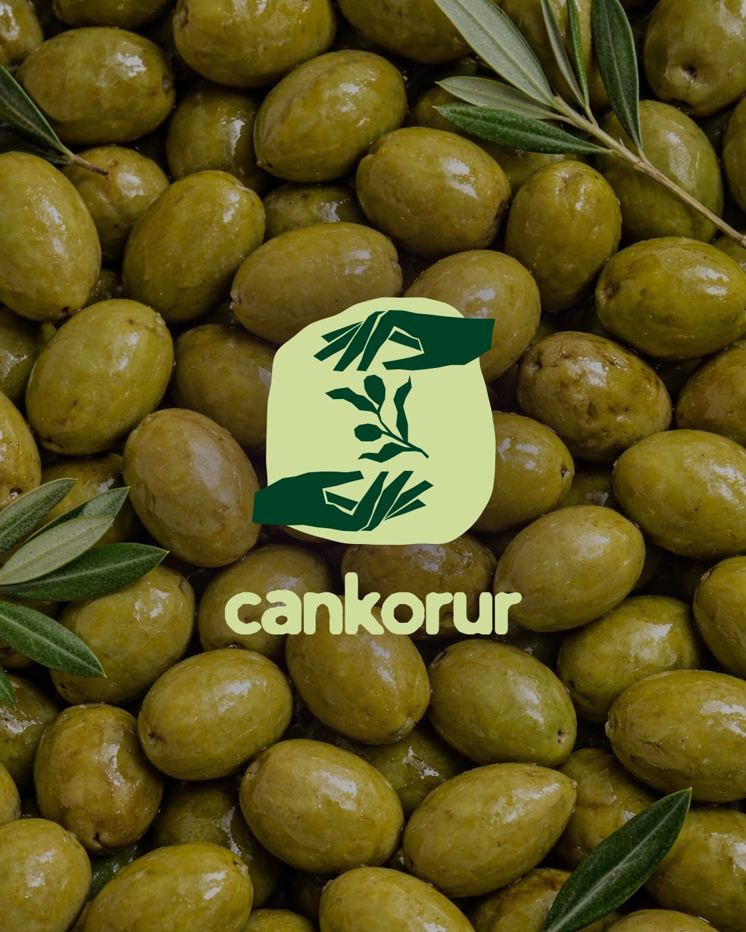 Cankorur Zeytinyağı